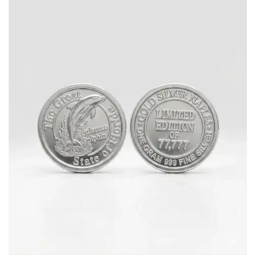 1 gram silver florida dolphin