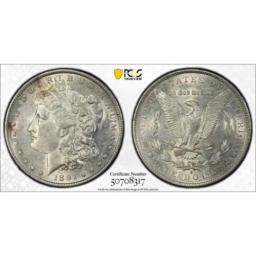 1891-S $1 (2)
