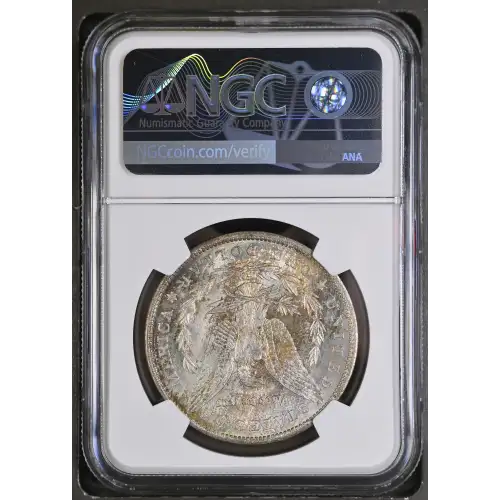 1904 (3)