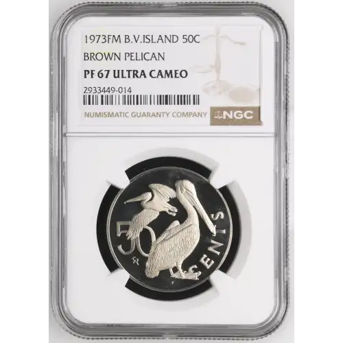 1973FM BROWN PELICAN ULTRA CAMEO (2)