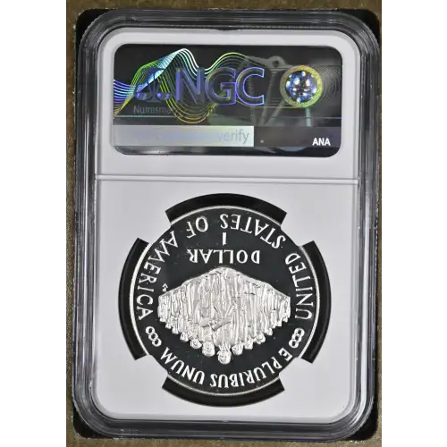 1987 Constitution Bicentennial ULTRA CAMEO (3)