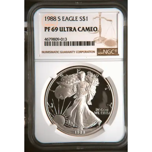 1988 S  ULTRA CAMEO (2)