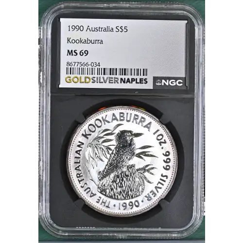1990 Kookaburra (2)