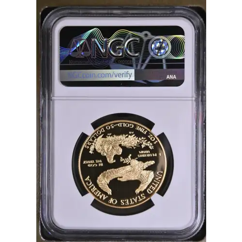 1993 W  ULTRA CAMEO (3)