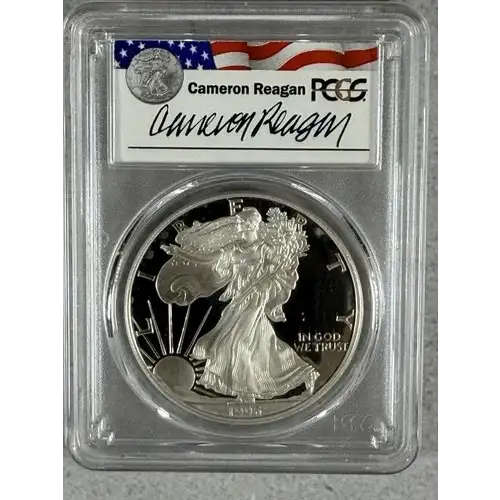 1996-P $1 Silver Eagle Cameron Reagan, DCAM