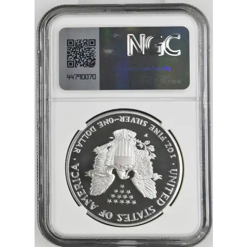 1999 P  ULTRA CAMEO (3)