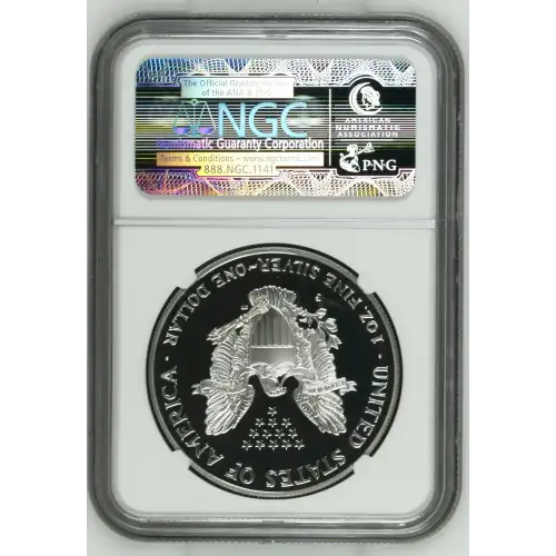 1999 P  ULTRA CAMEO (3)