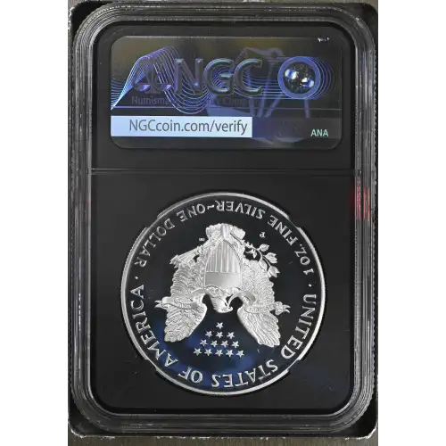 1999 P  ULTRA CAMEO (3)