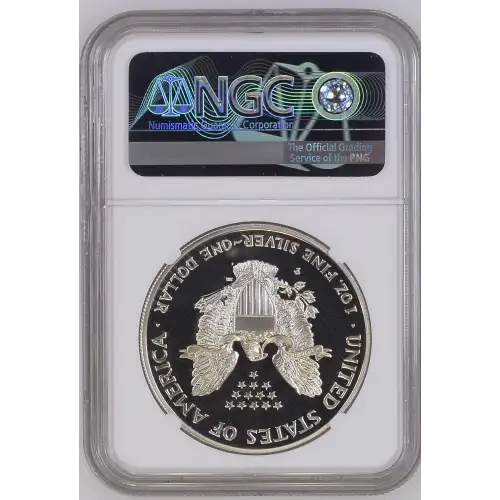 2000 P  ULTRA CAMEO (3)
