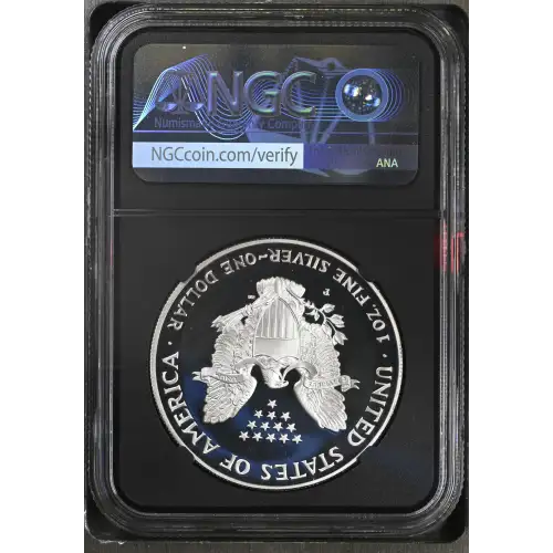 2000 P  ULTRA CAMEO (3)