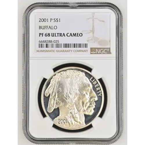 2001 BUFFALO ULTRA CAMEO (2)