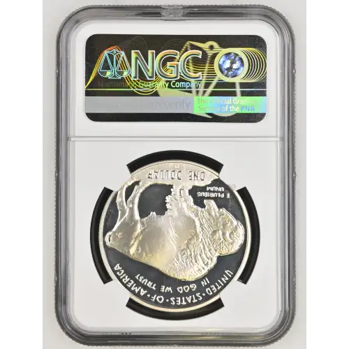2001 BUFFALO ULTRA CAMEO (3)