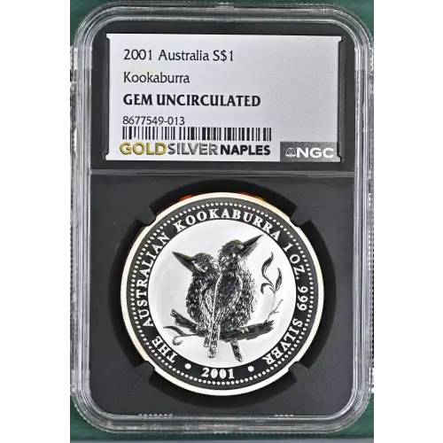 2001 Kookaburra (2)