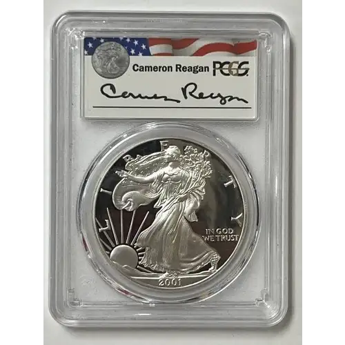 2001-W $1 Silver Eagle Cameron Reagan, DCAM