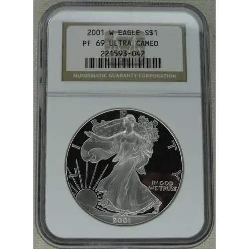2001 W  ULTRA CAMEO
