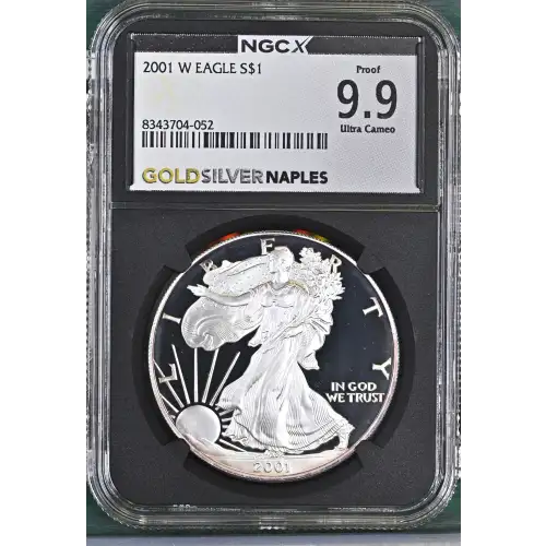 2001 W  ULTRA CAMEO (2)