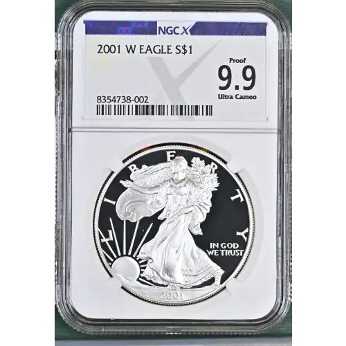 2001 W  ULTRA CAMEO (2)