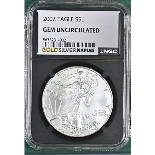 2002 1 oz Silver Eagle  NGC MS69 (LABEL MAY VARY) [DUPLICATE for #558475]