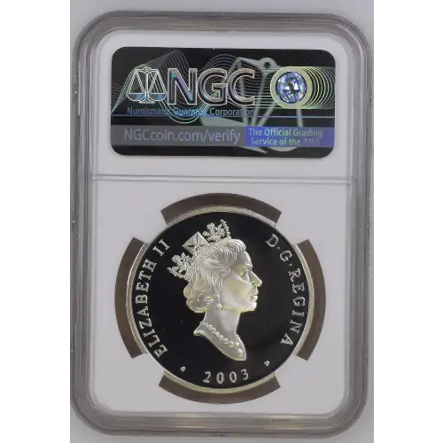 2003 Gilt Bricklin SV-1 ULTRA CAMEO (3)