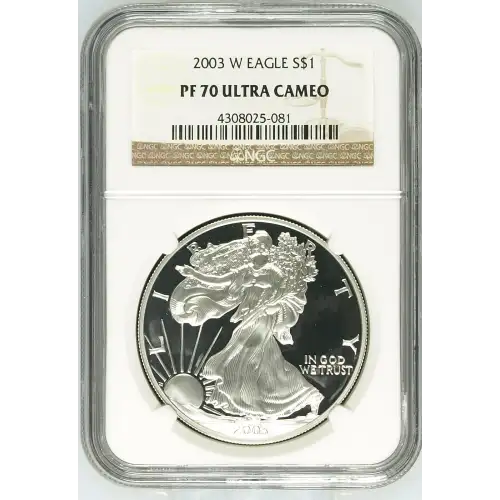 2003 W  ULTRA CAMEO (2)