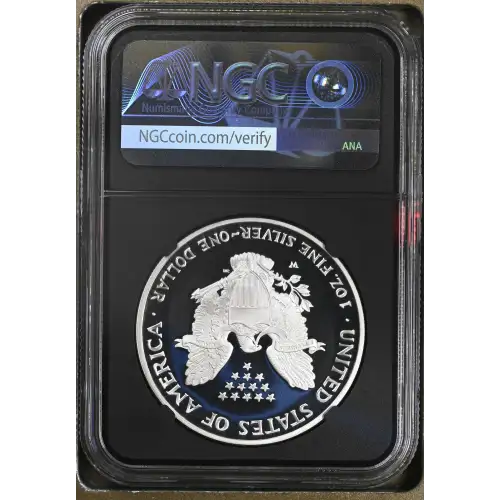 2003 W  ULTRA CAMEO (3)