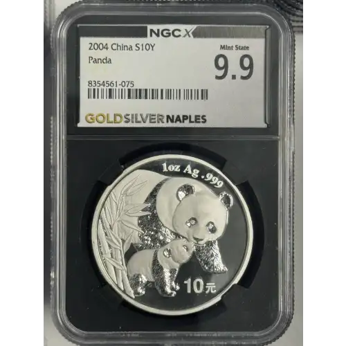 2004 1 oz China Panda s10y Mint State 9.9  (4)