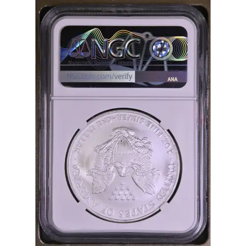 2004 (3)