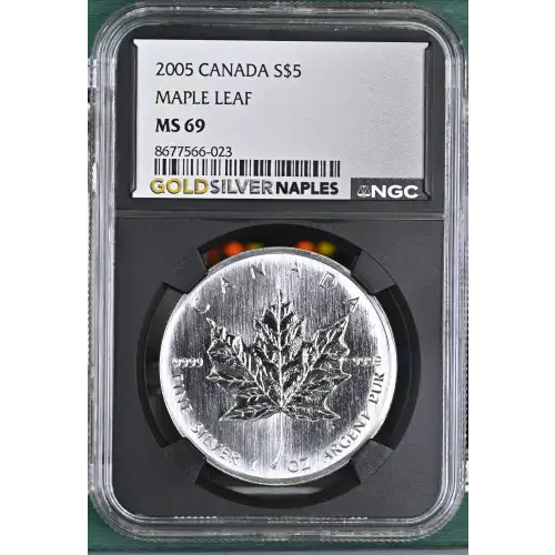 2005 MAPLE LEAF (2)