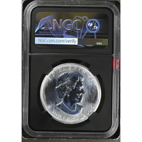 2005 MAPLE LEAF (3)