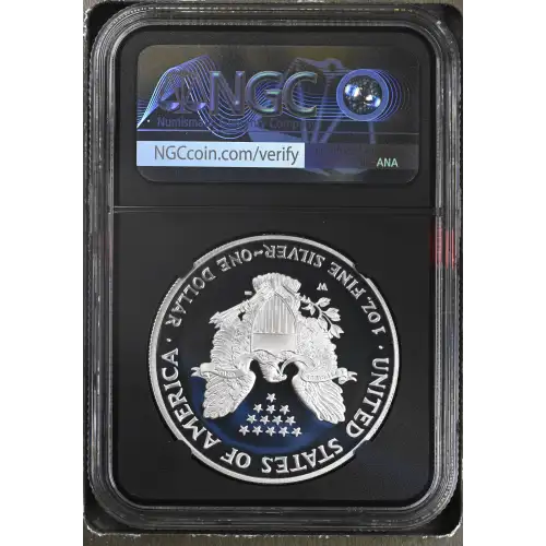 2005 W  ULTRA CAMEO (3)