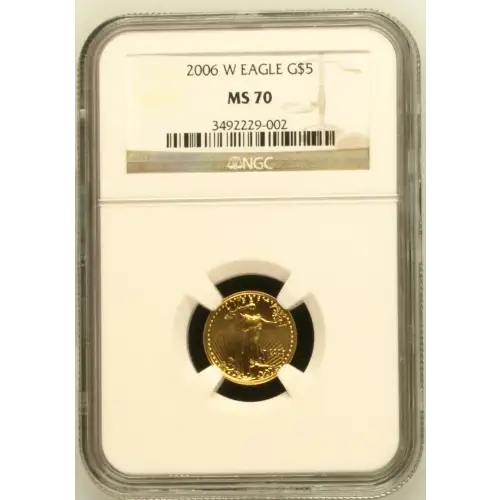 2006 W BURNISHED GOLD EAGLE (2)