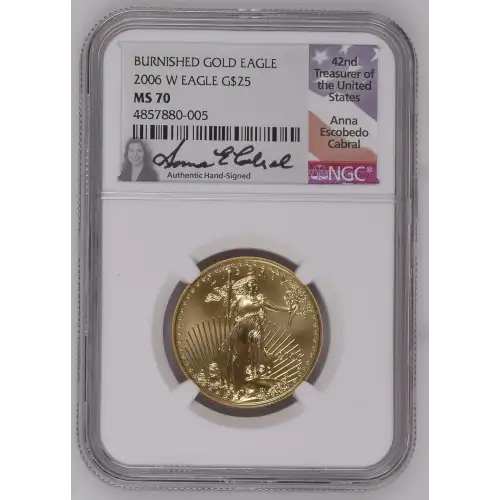 2006 W BURNISHED GOLD EAGLE (2)