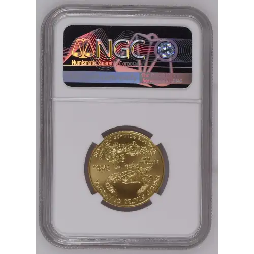 2006 W BURNISHED GOLD EAGLE (3)