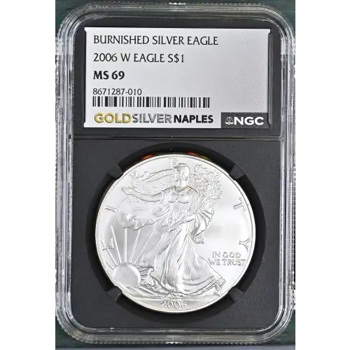 2006 W BURNISHED SILVER EAGLE (2)