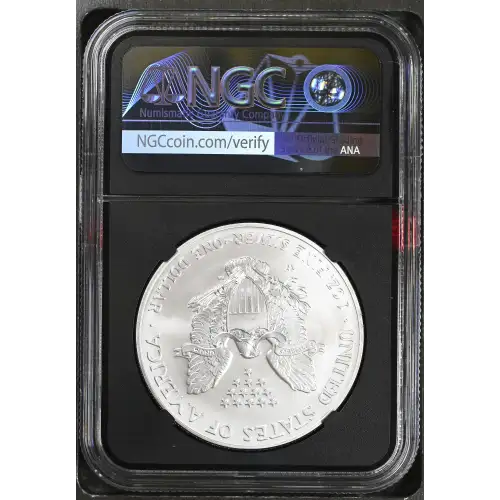 2006 W BURNISHED SILVER EAGLE (3)