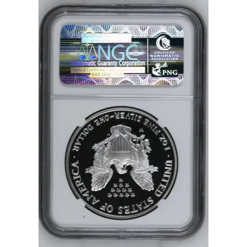 2006 W  ULTRA CAMEO (3)