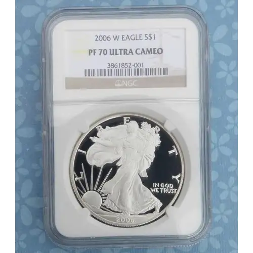 2006 W  ULTRA CAMEO