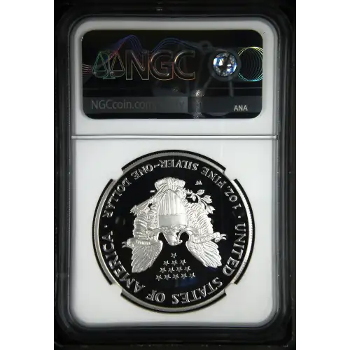 2006 W  ULTRA CAMEO (3)