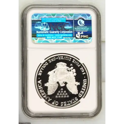 2006 W  ULTRA CAMEO (3)