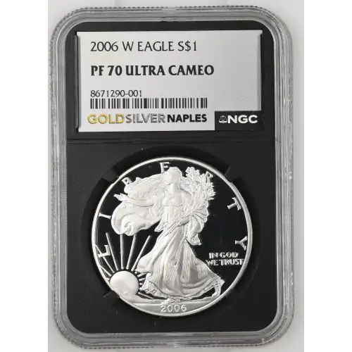 2006 W  ULTRA CAMEO (2)