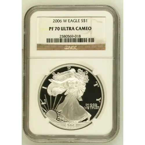 2006 W  ULTRA CAMEO (2)