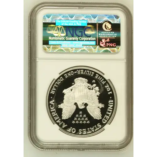 2006 W  ULTRA CAMEO (3)