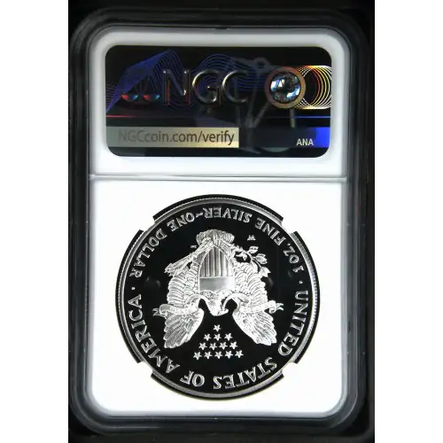 2006 W  ULTRA CAMEO (3)