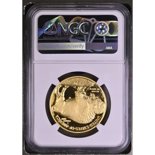 2007 W .9999 FINE ULTRA CAMEO (3)
