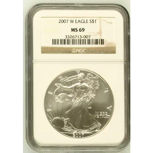 2007 W BURNISHED SILVER EAGLE (2)