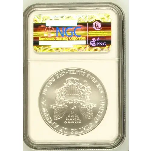 2007 W BURNISHED SILVER EAGLE (3)