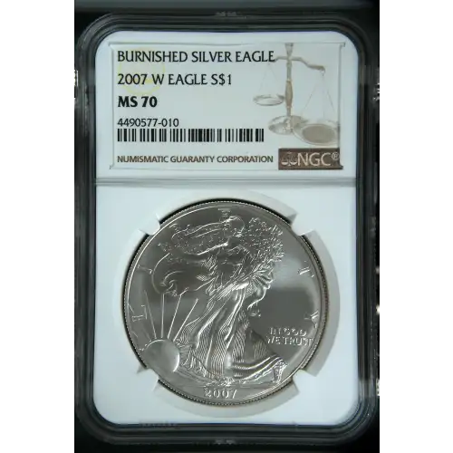 2007 W BURNISHED SILVER EAGLE (2)