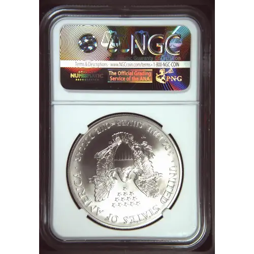 2007 W BURNISHED SILVER EAGLE (3)