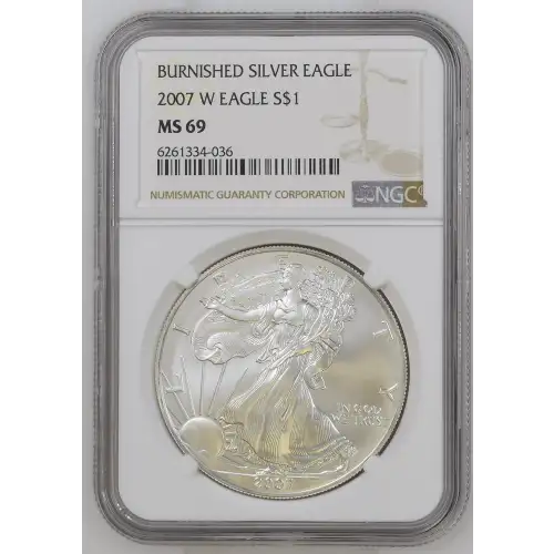 2007 W BURNISHED SILVER EAGLE (2)