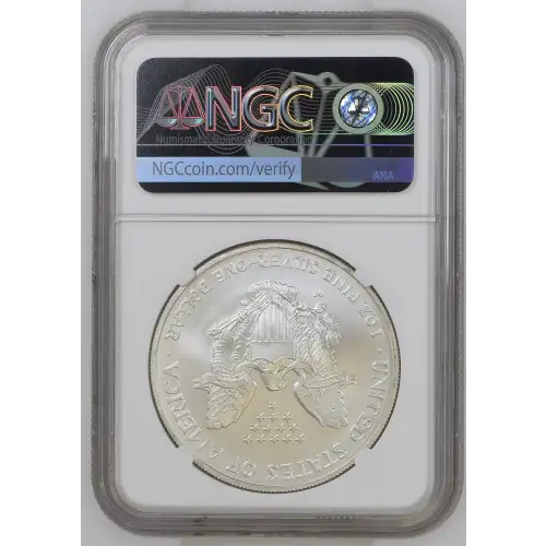 2007 W BURNISHED SILVER EAGLE (3)